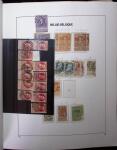 1849-2010 Mint & used collection of Belgium in 9 DAVO