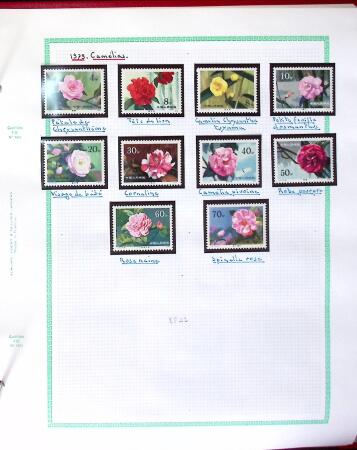 1894-2005, ASIA: Various countries in 8 albums a stockbooks