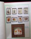 1894-2005, ASIA: Various countries in 8 albums a stockbooks