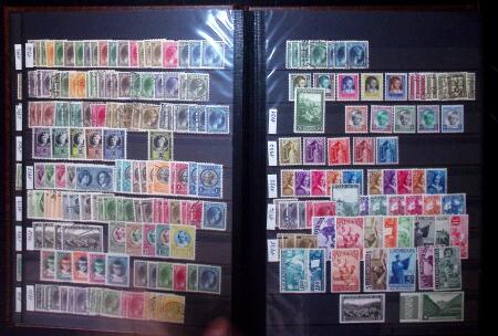 1849-2004 BENELUX selection in 11 stockbooks with strength