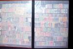 1849-2004 BENELUX selection in 11 stockbooks with strength