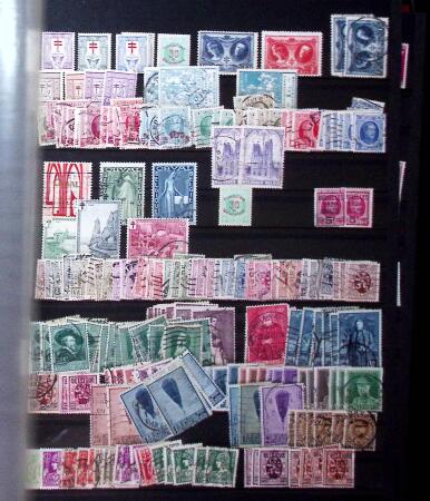 1849-2004 BENELUX selection in 11 stockbooks with strength