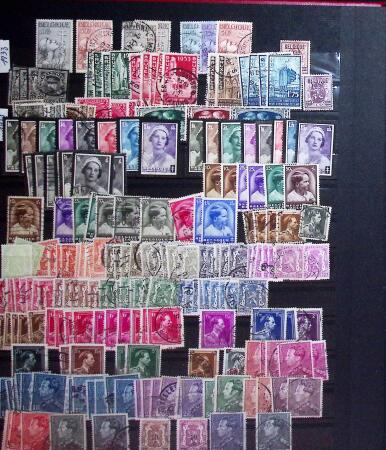 1849-2004 BENELUX selection in 11 stockbooks with strength