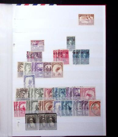 1849-2004 BENELUX selection in 11 stockbooks with strength
