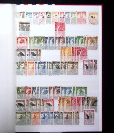 1849-2004 BENELUX selection in 11 stockbooks with strength