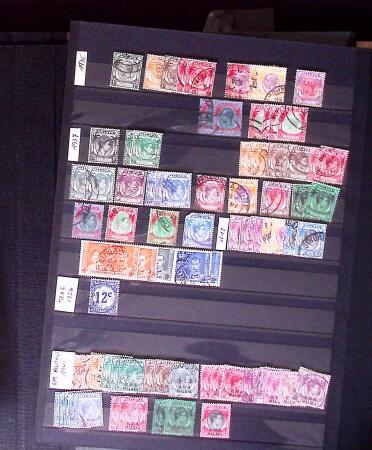 1855-1995 BRITISH EMPIRE selection on stockpages showing