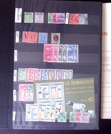 1855-1995 BRITISH EMPIRE selection on stockpages showing
