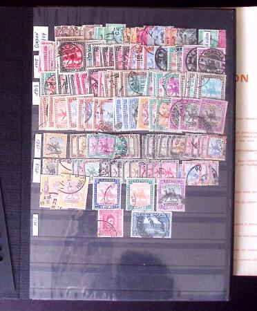 1855-1995 BRITISH EMPIRE selection on stockpages showing