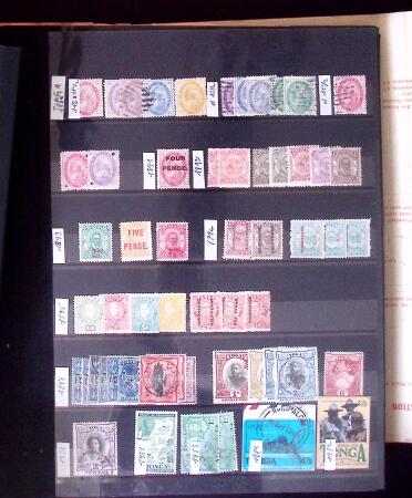 1855-1995 BRITISH EMPIRE selection on stockpages showing