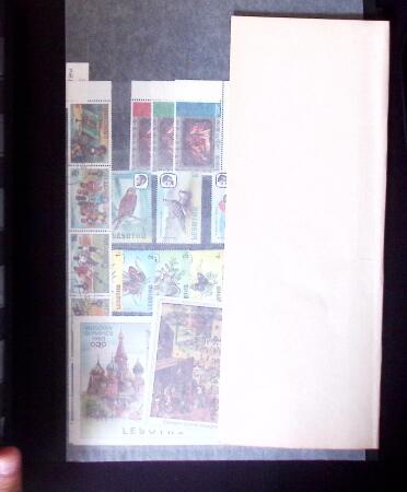 1855-1995 BRITISH EMPIRE selection on stockpages showing