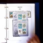 1849-2001 All-world collection in stockbooks