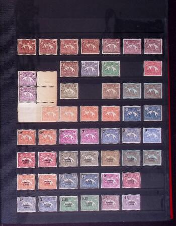 Collection de neuf sans charnière (très grande majorité