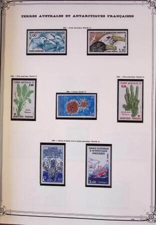 1955-1996 Belle collection timbres neuf des TAAF dans