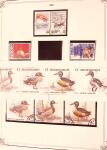 Collection timbres neuf et obl. de Belgique +qq lettres