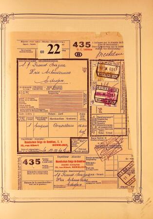 Collection timbres neuf et obl. de Belgique +qq lettres