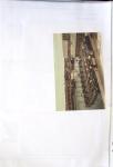 1915- 1980 Très belle collection de carte postale