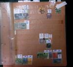 1841-1980 Mint and used collection, and 3 box examine.