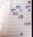 1841-1980 Mint and used collection, and 3 box examine.
