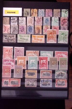 1880-2001 All-world collection in 54 albums and stockbooks