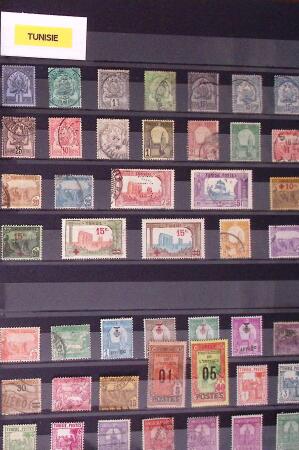 1880-2001 All-world collection in 54 albums and stockbooks