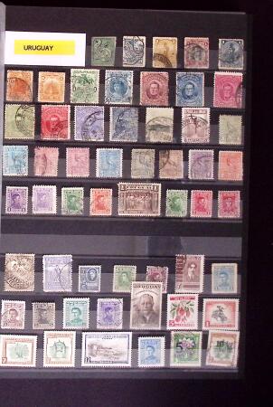 1880-2001 All-world collection in 54 albums and stockbooks