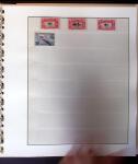 1880-1980 Collection en 14 albums avec des pays bien