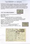 1900-1925 Collection sur le type MERSON montée sur