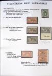 1902-1930 Exceptionnelle collection sur le type MERSON