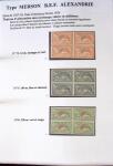1902-1930 Exceptionnelle collection sur le type MERSON