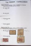 1902-1930 Exceptionnelle collection sur le type MERSON