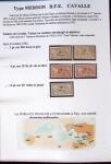 1902-1930 Exceptionnelle collection sur le type MERSON