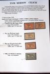 1902-1930 Exceptionnelle collection sur le type MERSON