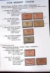 1902-1930 Exceptionnelle collection sur le type MERSON