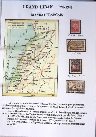 1902-1930 Exceptionnelle collection sur le type MERSON