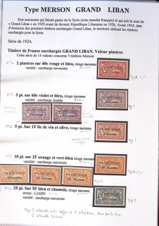 1902-1930 Exceptionnelle collection sur le type MERSON