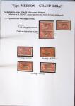 1902-1930 Exceptionnelle collection sur le type MERSON
