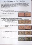 1902-1930 Exceptionnelle collection sur le type MERSON