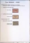 1902-1930 Exceptionnelle collection sur le type MERSON