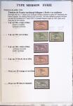 1902-1930 Exceptionnelle collection sur le type MERSON