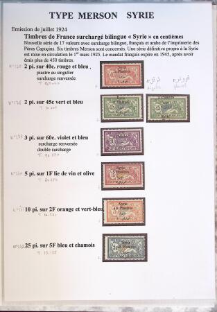 1902-1930 Exceptionnelle collection sur le type MERSON