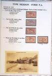 1902-1930 Exceptionnelle collection sur le type MERSON