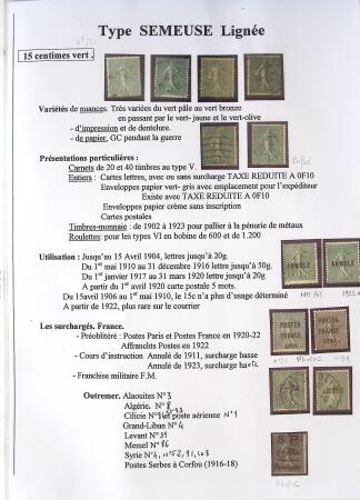 SEMEUSE LIGNEE