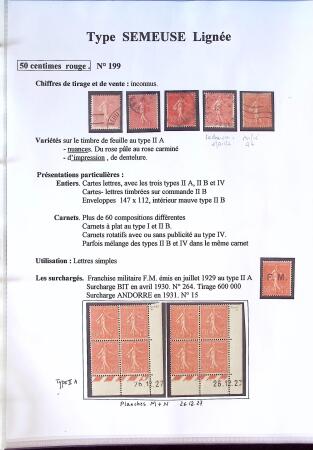 SEMEUSE LIGNEE