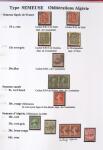 Très belle collection sur les Semeuse sur les colonies,