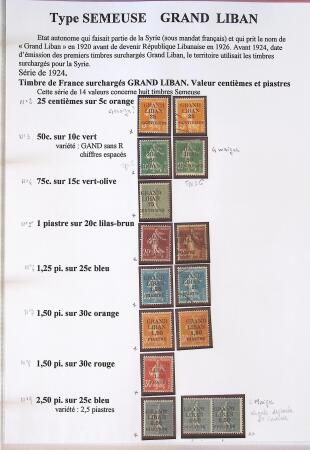 Très belle collection sur les Semeuse sur les colonies,