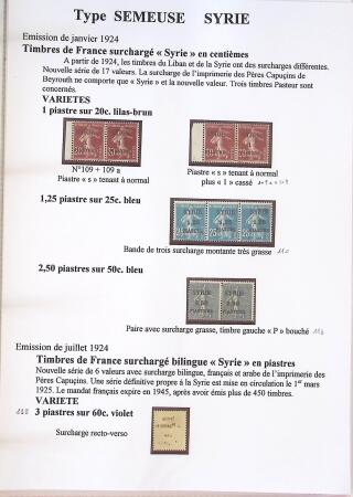 Très belle collection sur les Semeuse sur les colonies,