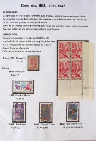 1939-1947 Magnifique collection d'expositions sur le