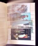 1880-1945 Enorme classeur de cartes postales avec toutes
