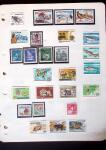 1884-1960, Mint & used collection on stockpages showing