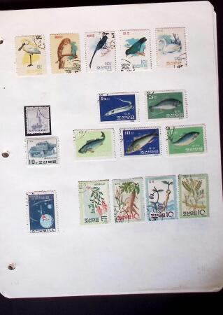 1884-1960, Mint & used collection on stockpages showing